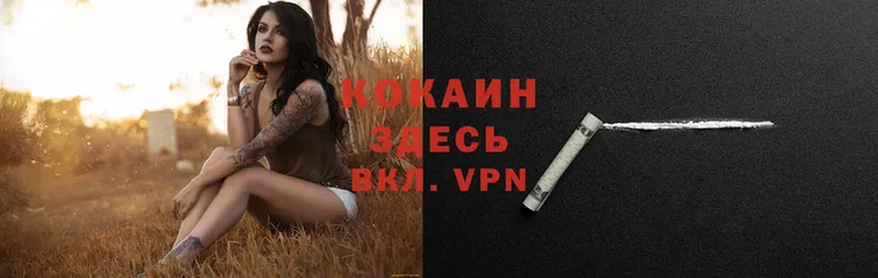 закладки  Гаврилов-Ям  shop телеграм  Cocaine VHQ 