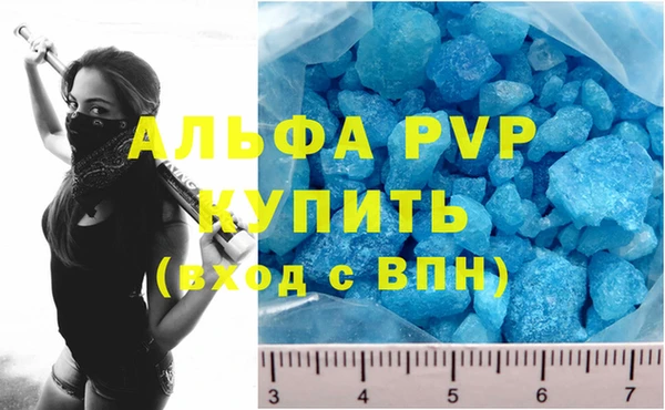 прущие грибы Снежногорск