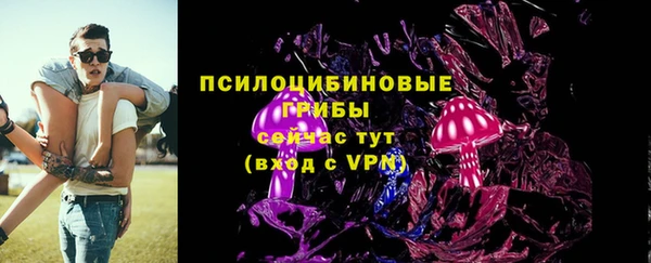PSILOCYBIN Баксан