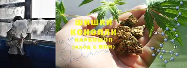 PSILOCYBIN Баксан