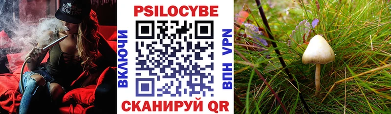 Галлюциногенные грибы MAGIC MUSHROOMS  мега ссылка  Гаврилов-Ям 