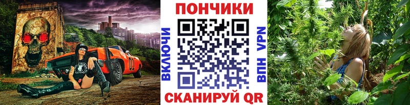 Бошки Шишки сатива продажа наркотиков Гаврилов-Ям